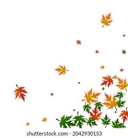 Gold Maple Background White Vector. Foliage Flying Template. Green Forest. Isolated Card. Brown Floral Logo.