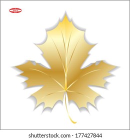 Gold Maple Leaf Isolated On White Background Vector