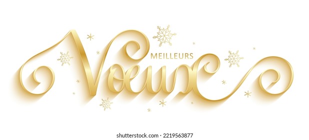 Gold metallic vector MEILLEURS VOEUX (HAPPY HOLIDAYS in French) brush calligraphy banner with snowflakes on white background