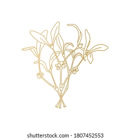 Gold mistletoe brunch with berries in doodle line style. Christmas traditional symbol. Vector illustration isolated on white background. 