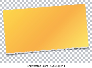 Banner auf Goldene Noten mit abgerundetem Papier auf transparentem Hintergrund