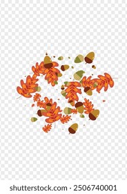 Gold Oak Background Transparent Vector. Acorn Realistic Frame. Brown Plant. School Texture. Orange Leaf Isolated.