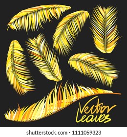 Gold Palm Branches in Various Forms. Tropic Foliage. Illustration of Jungle Plants. Vector Palm Leaves on a Black Background. Floral Elements Set. God Palm Leaves for Pattern, Wallpaper, Print.