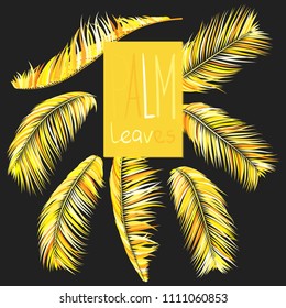 Gold Palm Branches in Various Forms. Tropic Foliage. Illustration of Jungle Plants. Vector Palm Leaves on a Black Background. Floral Elements Set. God Palm Leaves for Pattern, Wallpaper, Print.