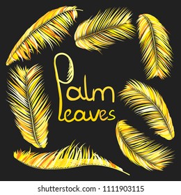 Gold Palm Branches in Various Forms. Tropic Foliage. Illustration of Jungle Plants. Vector Palm Leaves on a Black Background. Floral Elements Set. God Palm Leaves for Pattern, Wallpaper, Print.