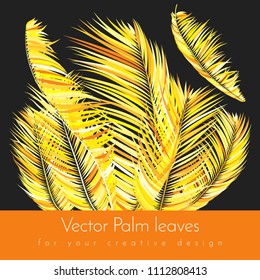 Gold Palm Branches in Various Forms. Tropic Foliage. Illustration of Jungle Plants. Vector Palm Leaves on a Black Background. Floral Elements Set. God Palm Leaves for Pattern, Wallpaper, Print.