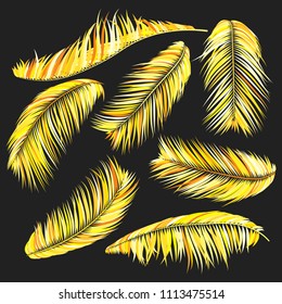 Gold Palm Branches in Various Forms. Tropic Foliage. Illustration of Jungle Plants. Vector Palm Leaves on a Black Background. Floral Elements Set. God Palm Leaves for Pattern, Wallpaper, Print.