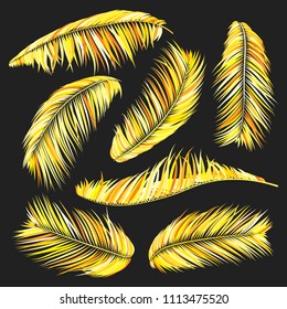 Gold Palm Branches in Various Forms. Tropic Foliage. Illustration of Jungle Plants. Vector Palm Leaves on a Black Background. Floral Elements Set. God Palm Leaves for Pattern, Wallpaper, Print.