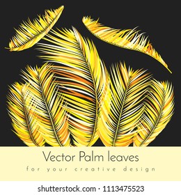 Gold Palm Branches in Various Forms. Tropic Foliage. Illustration of Jungle Plants. Vector Palm Leaves on a Black Background. Floral Elements Set. God Palm Leaves for Pattern, Wallpaper, Print.
