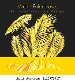 Gold Palm Branches in Various Forms. Tropic Foliage. Illustration of Jungle Plants. Vector Palm Leaves on a Black Background. Floral Elements Set. God Palm Leaves for Pattern, Wallpaper, Print.