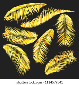 Gold Palm Branches in Various Forms. Tropic Foliage. Illustration of Jungle Plants. Vector Palm Leaves on a Black Background. Floral Elements Set. God Palm Leaves for Pattern, Wallpaper, Print.