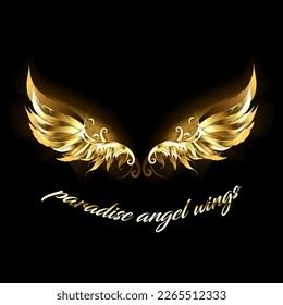 Gold paradise angel wings illustration  paradise angel wings  gold gradient wings