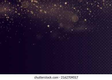 Gold particles. Light effect. Gold dust. background decoration.