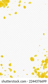Goldener Pfirsichfarbener, transparenter Hintergrund. Schöne Petalvorlage. Illustration des Gelbkrebses. Senf Blossom Herbstrahmen.