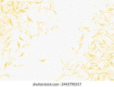 Fondo transparente del vector del melocotón dorado. Textura floral japonesa amarilla. Delicado póster de belleza de loto. Plantilla de desenfoque de pétalo blanco. Fondo de la cereza de otoño.