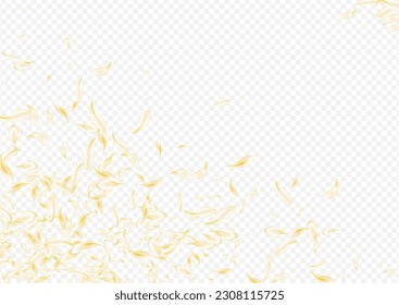 Gold Petal Falling Vector Transparent Background. Light Tender Flower Template. Delicate Peach Summer Wallpaper. Beige Sakura Fall Poster. Spring Cherry Banner.