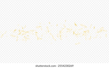 Gold Petal Falling Vector Transparent Background. White Spring Floral Template. Yellow Blossom Fall Illustration. Light Cherry Summer Poster. Blur Rose Frame.