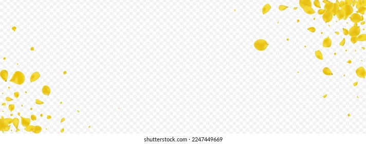 Fondo Panorámico Transparente del Vector Volante De Petal De Oro. Tapa del Sakura de primavera. Plantilla japonesa floral amarilla. Pancarta de Caída de Rosas Canarias.