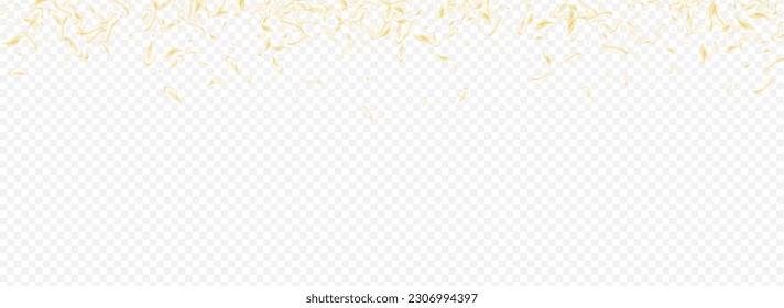 Gold Petal Japanese Vector Panoramic Transparent Background. Light Blur Peach Poster. Yellow Blossom Fall Wallpaper. White Lotus Spring Pattern. Falling Cherry Frame.