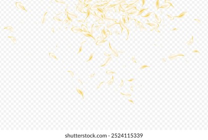 Gold Petal Tender Vector Transparent Background. White Japanese Floral Template. Beige Peach Fly Banner. Yellow Rose Falling Cover. Fall Cherry Design.