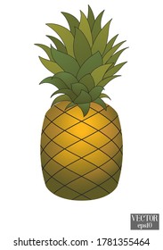 gold Pineapple fruit. Vector illustration cartoon flat icon isolated on white.Tropical healthy tasty fruit, sweet ananas.