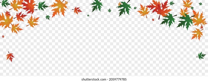 Gold Plant Background Transparent Vector. Leaf Beautiful Texture. Ocher September. Tree Design. Colorful Foliage Celebrate.