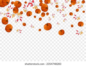 Gold Plant Background Transparent Vector. Yellow Food Frame. Colorful Pumpkin Fall Border. Vegetable Picking. Wreath Illustration.