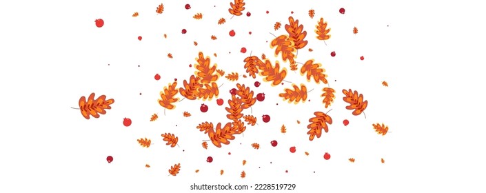 Gold Plant Background White Vector. Oak October Frame. Orange Leaf. Drawn Design. Brown Acorn September.