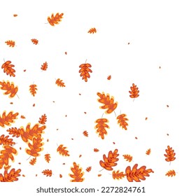 Vector blanco de fondo de la planta de oro. Deja la textura agrícola. Roble verde. Conjunto de esquema. Naturaleza dorada del maíz.