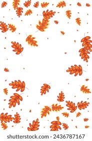 Gold Plant Background White Vector. Oak Poster Texture. Brown Leaf. School Illustration. Yellow Leaves Silhouette.