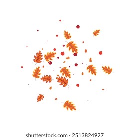 Gold Plant Background White Vector. Oak Forest Design. Orange Acorn. Modern Set. Red Leaves Outline.