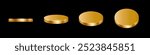 Gold podiums. Golden 3d round metal platforms for product presentation or winner award ceremony in different angles view. Set of luxury empty stages on black background. Realistic vector illustration.