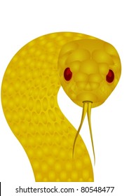 Gold poisonous snake. The illustration on white background.