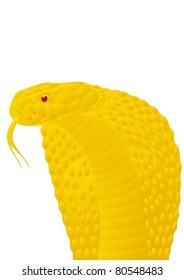 Gold poisonous snake. The illustration on white background.