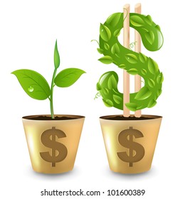 Gold Pot With Dollar And Sprout, Vector Illustration