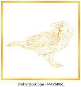 Gold raven. Sketch raven.