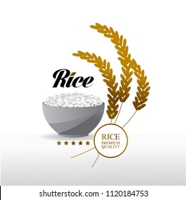 Gold Rice Grand vector