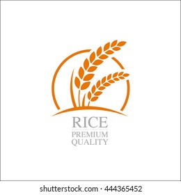 Gold Rice vector concept