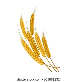 Gold ripe wheat ears icon. Cartoon illustration of wheat ears vector icon for web design