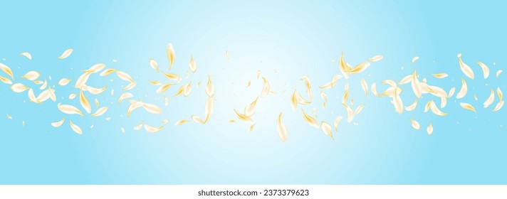 Gold Rose Fly Vector Panoramic Blue Background. White Summer Floral Wallpaper. Beige Lotus Beauty Illustration. Light Blossom Japanese Cover. Falling Flower Backdrop.