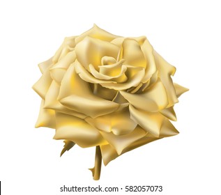 Golden Rose Images Stock Photos Vectors Shutterstock