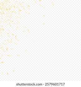 Gold Rose Japanese Vector Transparent Background. White Spring Cherry Banner. Yellow Petal Summer Frame. Beige Sakura Tender Design. Falling Flower Pattern.
