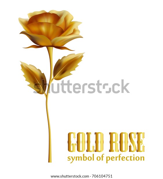 Gold Rose Symbol Perfection Stock Vector (Royalty Free) 706104751