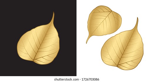Gold Sacred fig leaf or Bo leaf isolated on dark and white background. The glowing gold leaf gives a wonderful feeling of kindness, open-mindedness, and the magical charm of faith.