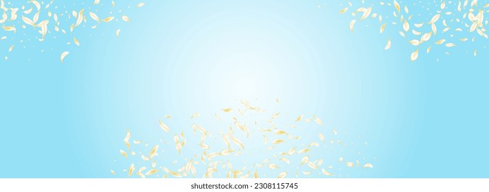 Gold Sakura Japanese Vector Panoramic Blue Background. Beige Summer Rose Wallpaper. Yellow Peach Blur Cover. White Cherry Fall Banner. Fly Petal Frame.