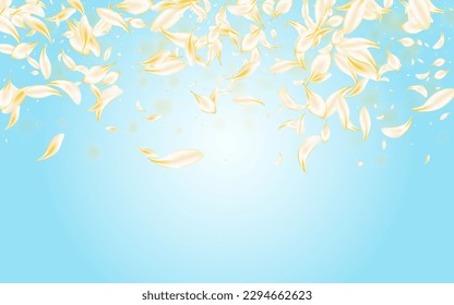 Gold Sakura Summer Vector Blue Background. Light Spring Flower Template. Yellow Blossom Fall Design. Delicate Cherry Flying Texture. Fly Floral Banner.