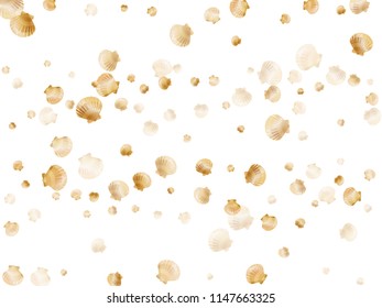 Gold seashell vector graphics, pearl bivalved mollusks illustration. Macro scallop, bivalve pearl shell, marine mollusk isolated wild life-nature background. Minimalist sea shell pattern