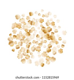 Gold seashells vector, golden pearl bivalved mollusks. Macro scallop, bivalve pearl shell, marine mollusk isolated on white wild life nature background. Cool gold sea shell illustration.