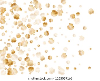 Gold seashells vector, golden pearl bivalved mollusks. Macro scallop, bivalve pearl shell, marine mollusk isolated on white wild life nature background. Trendy gold sea shell graphics.
