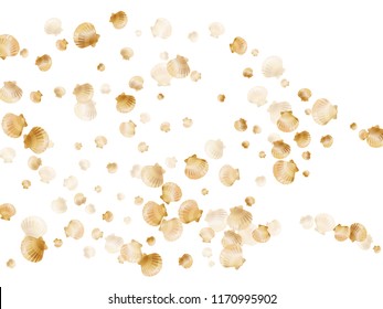 Gold seashells vector, golden pearl bivalved mollusks. Ocean scallop, bivalve pearl shell, marine mollusk isolated on white wild life nature background. Rich gold sea shell vector.